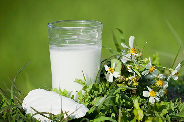 Uống bột sắn dây lúc nào là tốt nhất trong ngày?