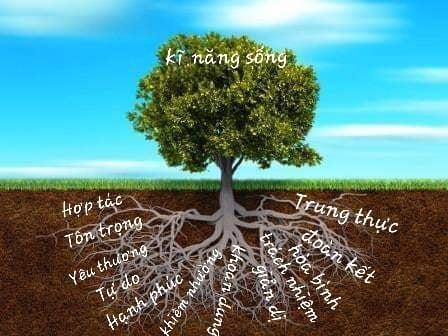 Giá trị sống là gốc rễ hình thành nên kĩ năng sống