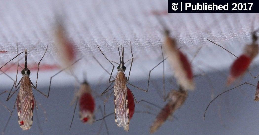 The battle against malaria