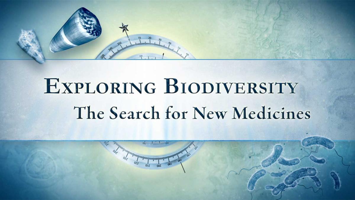The search for new medicine